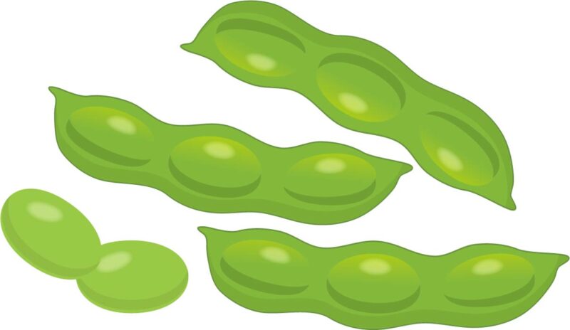 血糖コントロールにもうれしい「枝豆」と「夏野菜」の効用とは?のアイキャッチ画像