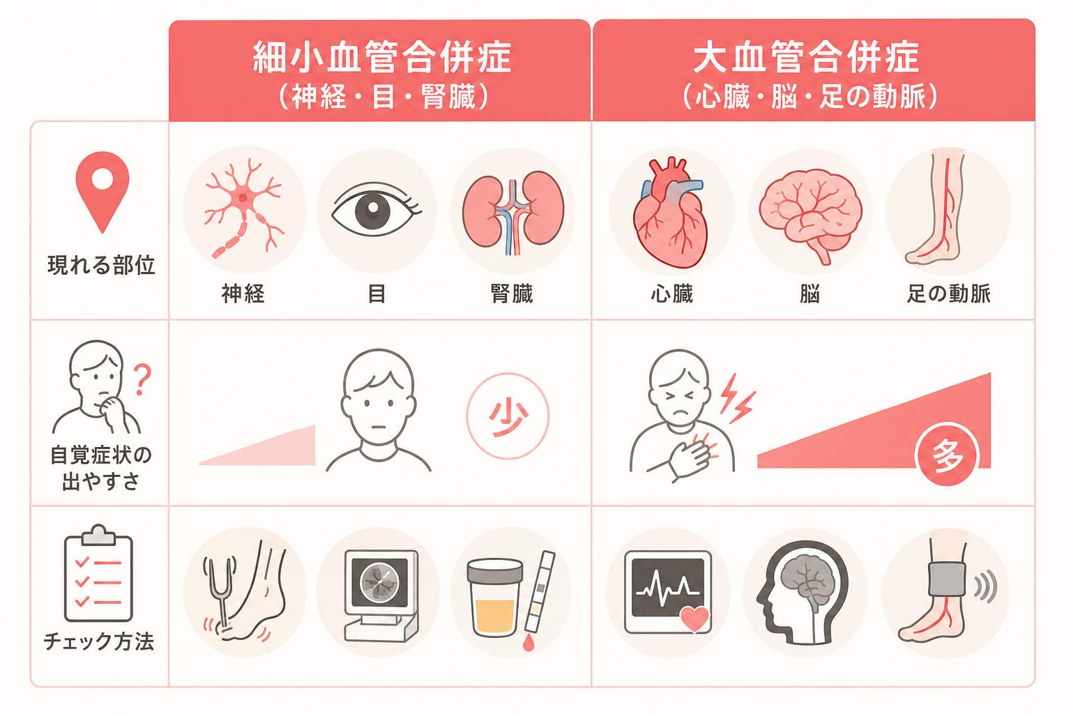 細小血管合併症と大血管合併症の部位と特徴を比べた比較図