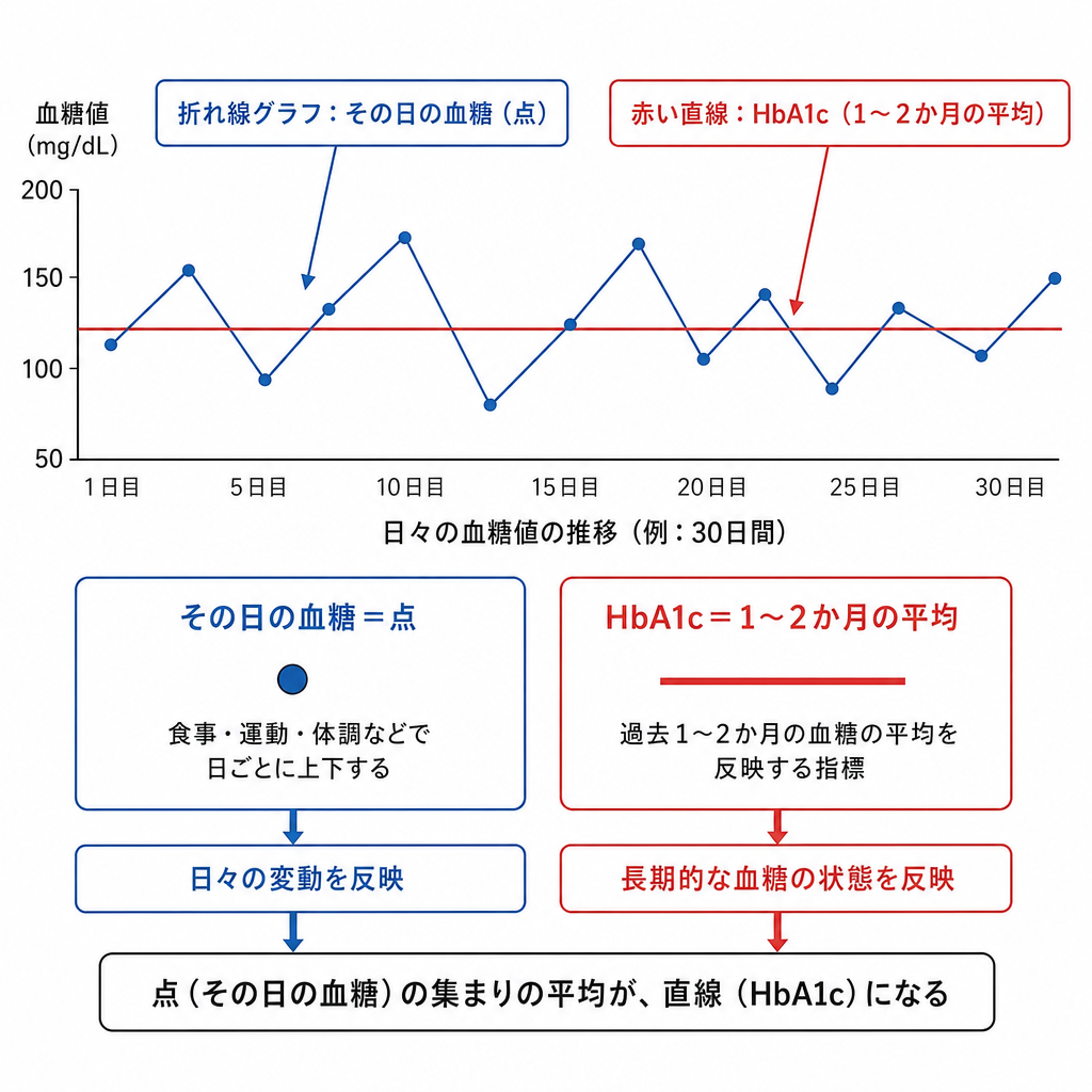 HbA1cの基準値の読み方｜数値ごとの受診目安がわかる