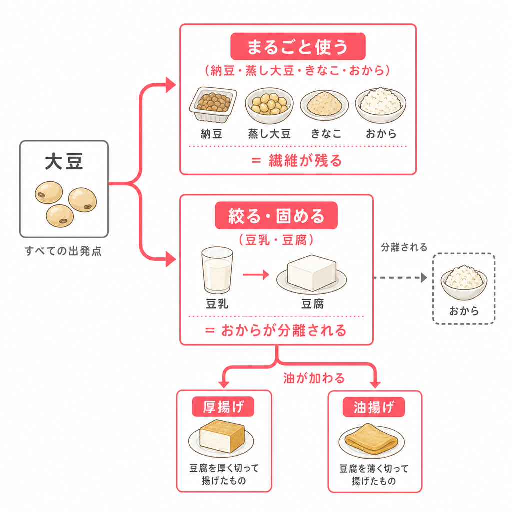 大豆の加工の違いを示す図。まるごと使う形は食物繊維が残り、絞る形はおからが分離されることを表している